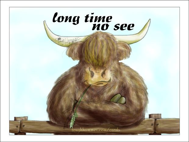 Long-haired Highland Cattle Bull leaning with crossed arms on a fence: &ldquo;long time no see&rdquo;