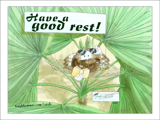 A spider lays back in a spider web hammock between palm leaves: &ldquo;Have a good rest!&rdquo;